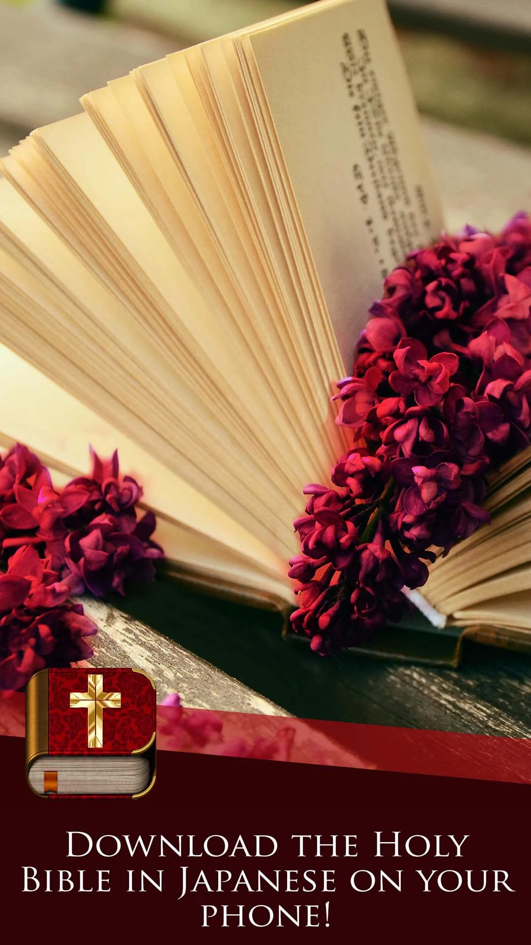 Japanese Bible screenshot